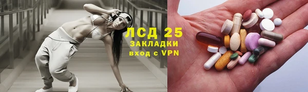 ГАЛЛЮЦИНОГЕННЫЕ ГРИБЫ Абаза