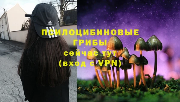дживик Абдулино