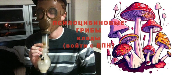 мдпв Няндома