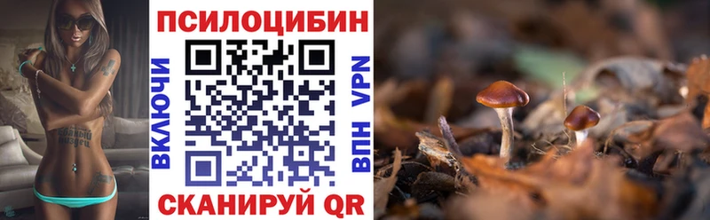 Псилоцибиновые грибы MAGIC MUSHROOMS где купить наркоту Алатырь